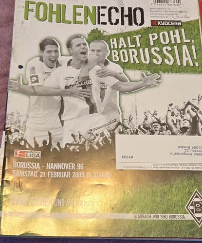 2008 bundesliga borussia - 2008/09, 1.bundesliga